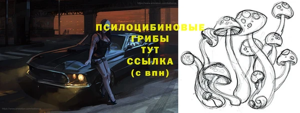 стафф Володарск