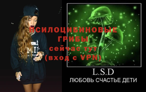 МДПВ Волоколамск