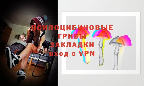 МДПВ Волоколамск