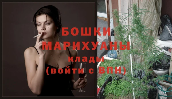 стафф Володарск