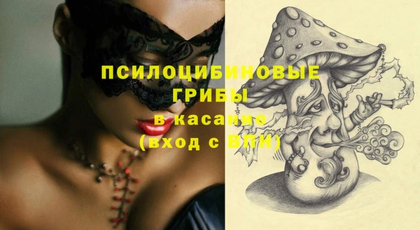 стафф Володарск