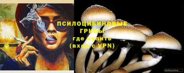МДПВ Волоколамск